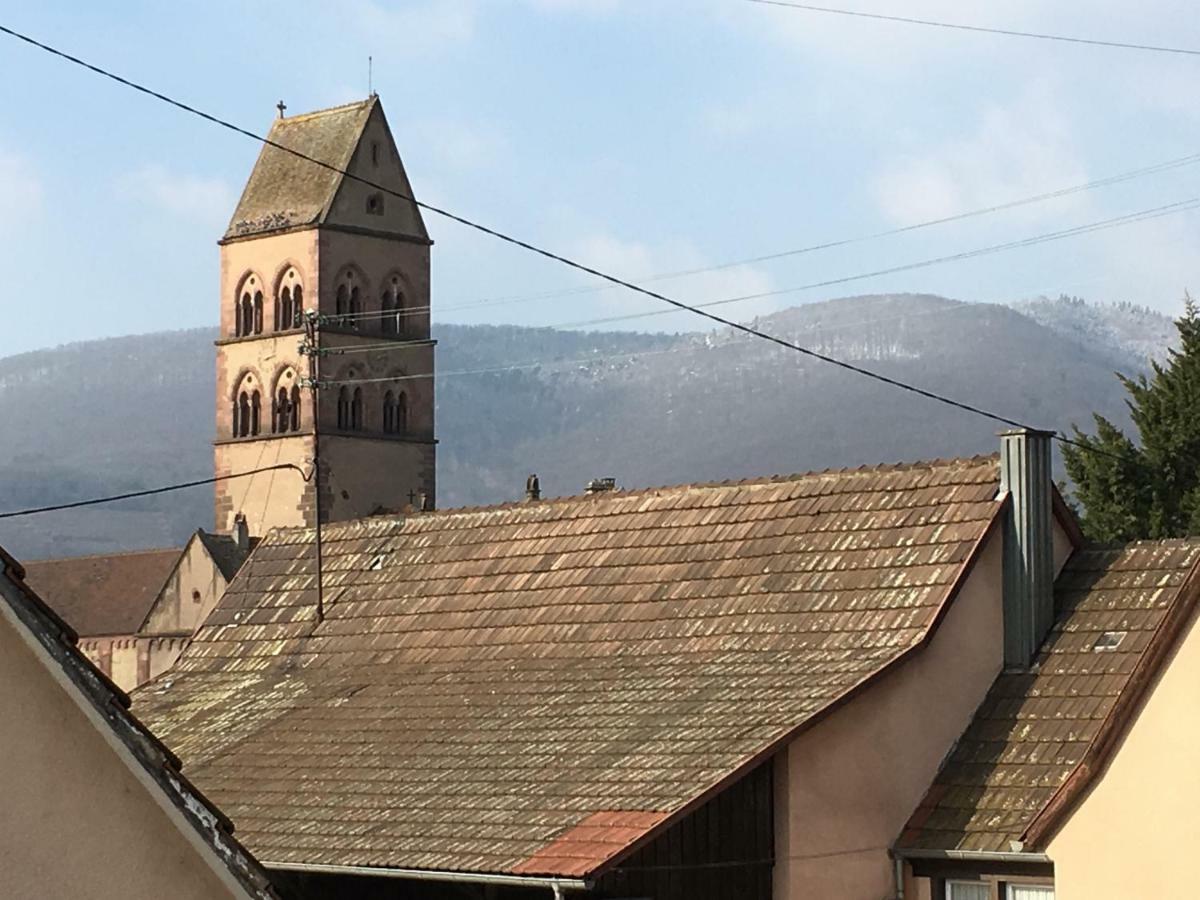 Gite Faubourg Des Pierres Sigolsheim 外观 照片