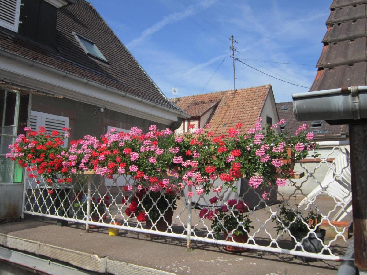 Gite Faubourg Des Pierres Sigolsheim 外观 照片